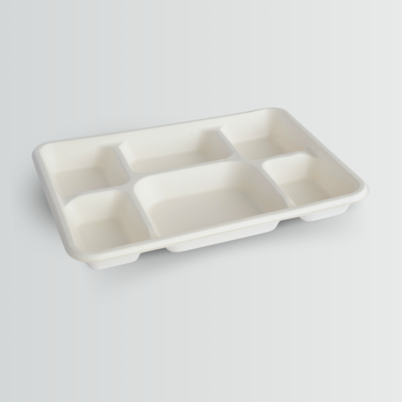 6CP Meal Tray