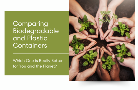 Comparing Biodegradable and Plastic Containers