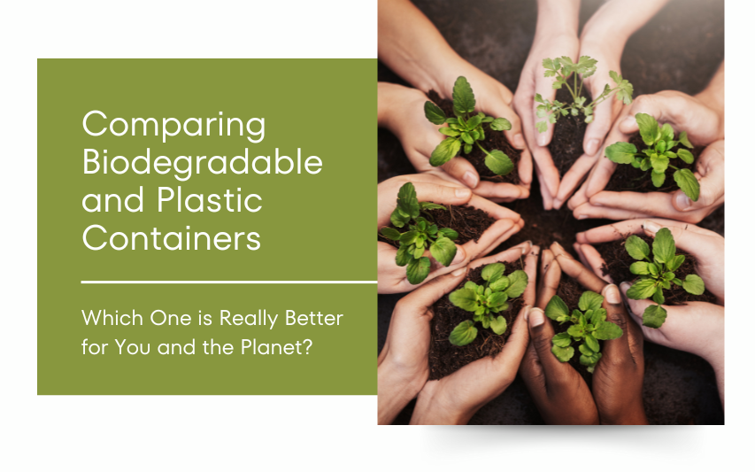 Comparing Biodegradable and Plastic Containers